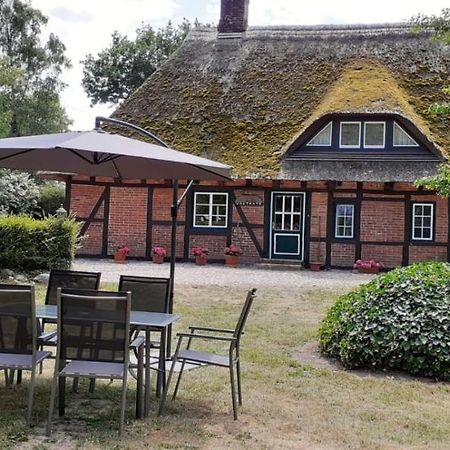 Ferienwohnung Vogtkate Damlos Exterior foto